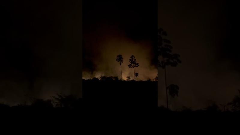 Urgente! Incêndio de grandes proporções próximo ao Aeroporto